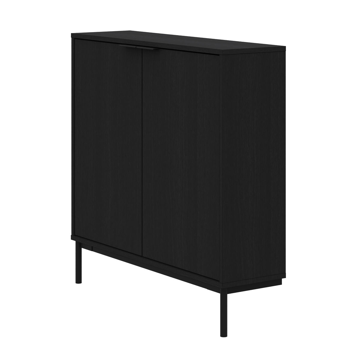 Slim 2-Door Storage Console in Black – product photo 2